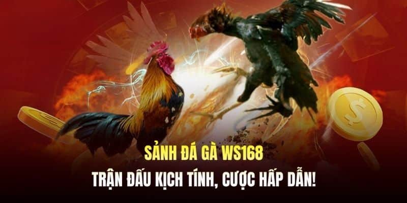 Hướng dẫn cách thức tham gia nền tảng WS168