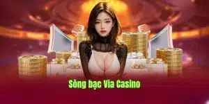 Via Casino – Thiên Đường Giải Trí Đẳng Cấp Hiện Đại Số 1 Châu Á